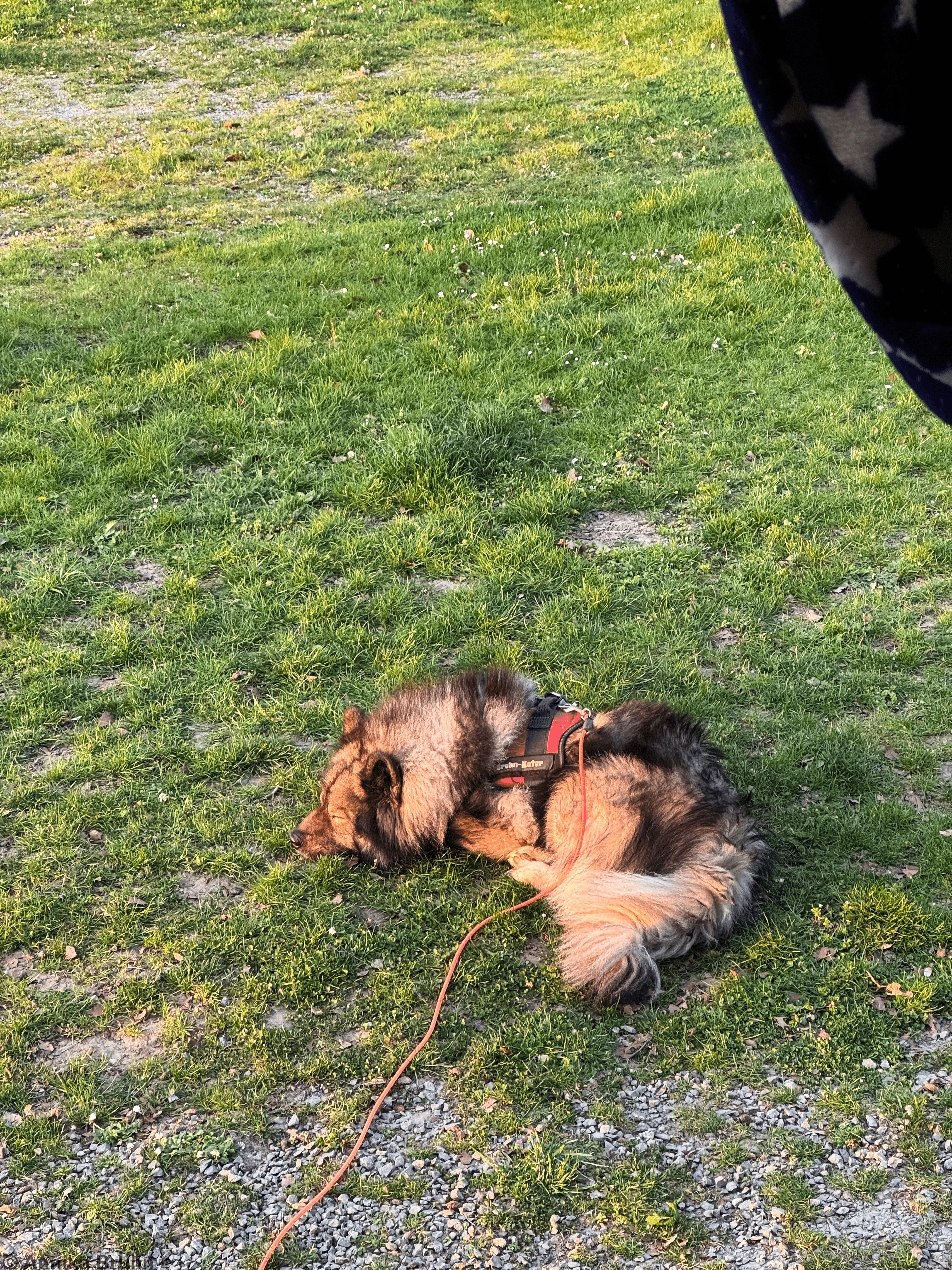 Q wird vom Sonnenuntergang angestrahlt